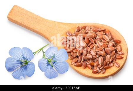 Flachssamen in Holzlöffel und zarte Flachsblüte isoliert auf weißem Hintergrund. Datei enthält Beschneidungspfade. Stockfoto