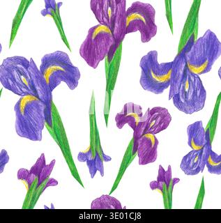 Handgezeichnete nahtlose Musterillustration mit violetter Iris. Violette Blume mit grünen Blättern auf weißem Hintergrund für grafisches Design. Isoliert Stockfoto