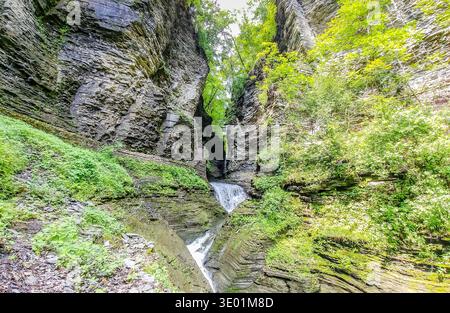 Ein felsiger Canyon mit einem kleinen Bach, der durch ihn fließt. Das Wasser ist klar und die Felsen sind zerklüftet. Die Szene ist friedlich und ruhig Stockfoto