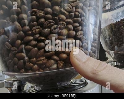 Dunkel geröstete Kaffeebohnen als Quelle für den Getränkekaffee Stockfoto