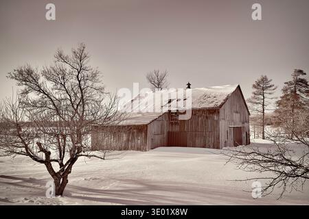 Alte Scheune in Sepia-Ton an einem kalten Wintertag im Osten von Ontario Stockfoto