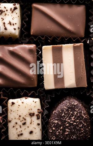 Schweizer Pralinen in Geschenkbox, verschiedene Luxus-Pralinen aus dunkler und milchiger Bio-Schokolade in Schokoladenkulisse in der Schweiz, süßes Dessertessen als Ho Stockfoto