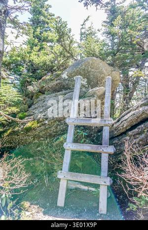 Eine Leiter lehnt sich an einen Felsen in einem Wald. Die Leiter ist aus Holz und hat drei Stufen. Der Felsen ist groß und der Wald ist üppig und grün Stockfoto