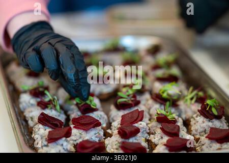 Der Koch bereitet Gourmet-Canapés mit gesalzenem Hering, Rote Bete und Kräutern auf dunklem Brot für ein Catering-Event zu. Nahaufnahme eines Kochs mit schwarzen Handschuhen. Stockfoto