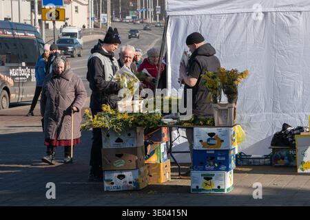 Minsk, Weißrussland - 8. März 2026: Straßenblumenverkäufer bieten während der International Womens gelbe Mimosa-Sträuße an einem temporären Stand auf dem Bürgersteig der Stadt an Stockfoto
