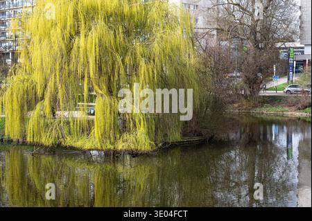 Parc des Etangs, auch bekannt als Vijverspark oder Vivès-Park, in Anderlecht am Rande von Brüssel in der Nähe der Ringstraße. Der Park bietet natürliche Teiche und Stockfoto