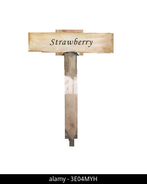 Hölzernes Gartenpflanzenschild mit Erdbeertext für Gemüsegartenbeet isoliert Stockfoto