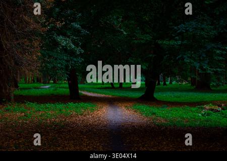 Ein ruhiger Pfad schlängelt sich im Herbst durch einen Park, umgeben von üppigem grünem Gras und einem Teppich aus gefallenen Blättern unter einem Baldachin aus dunklen Bäumen Stockfoto