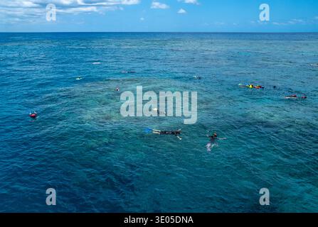 Schnorcheln Sie über die Korallengärten des Moore Reef am Great Barrier Reef in der Nähe von Cairns, Queensland, Australien. Stockfoto