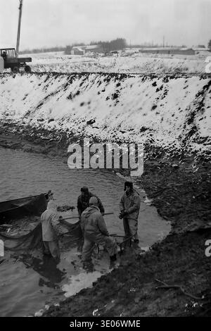 Ein sehr atmosphärisches Vintage-Schwarz-weiß-Foto aus den 1980er Jahren zeigt eine engagierte Brigade professioneller Fischer, die im eiskalten Flachwasser im Landwirtschaftsbetrieb Donrybkombinat im Bezirk Slavjansk arbeiten. Die Männer tragen schwere Winterschutzkleidung und ziehen ein riesiges Wadennetz, das mit frischem Fisch überflutet wird, nahe einer schneebedeckten Steilküste zusammen. Dieses eindrucksvolle Archivbild zeigt perfekt die schwierigen Bedingungen, Teamarbeit und die intensive körperliche Arbeit im friedlichen Donbass vor dem Krieg. Stockfoto