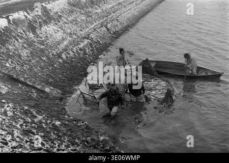 Ein sehr atmosphärisches Vintage-Schwarz-weiß-Foto aus den 1980er Jahren zeigt eine engagierte Brigade professioneller Fischer, die im eiskalten Flachwasser im Landwirtschaftsbetrieb Donrybkombinat im Bezirk Slavjansk arbeiten. Die Männer tragen schwere Winterschutzkleidung und ziehen ein riesiges Wadennetz, das mit frischem Fisch überflutet wird, nahe einer schneebedeckten Steilküste zusammen. Dieses eindrucksvolle Archivbild zeigt perfekt die schwierigen Bedingungen, Teamarbeit und die intensive körperliche Arbeit im friedlichen Donbass vor dem Krieg. Stockfoto