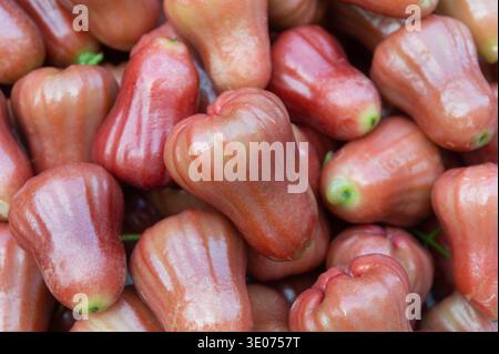 Frische Rosenäpfel stapeln sich auf dem tropischen Obstmarkt Stockfoto