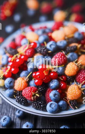 Vertikale Zusammensetzung von verschiedenen Beeren in Keramikschalen. Heidelbeeren, Himbeeren, Johannisbeeren und Stachelbeeren, saisonale landwirtschaftliche Erzeugnisse Stockfoto