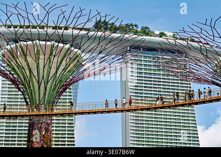 Gruppen von Besuchern genießen einen Spaziergang auf der Brücke am Supertree Grove mit Stadtgebäuden im Hintergrund unter klarem Himmel. Stockfoto