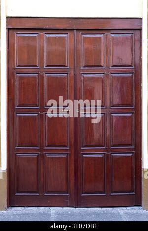 Detaillierte Ansicht einer Doppeltür im klassischen Stil aus dunkel gebeizten Holzpaneelen. Stockfoto