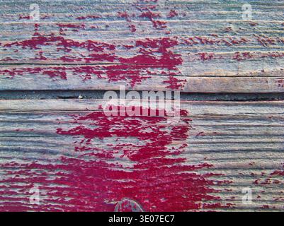 Eine detaillierte Makroaufnahme von horizontalen Holzdielen mit Resten von abgebrochener roter Farbe. Das Bild hebt die natürliche Holzmaserung und die Ästhetik eines hervor Stockfoto