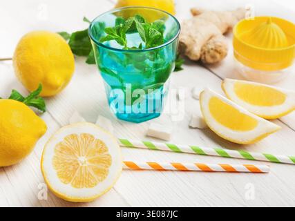 Erfrischendes Zitronengetränk mit Zitrusfrüchten und Minze Stockfoto