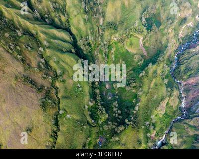 Blick von oben auf eine tiefgrüne Bergschlucht, einen sich windenden Fluss und verstreute Bäume Stockfoto