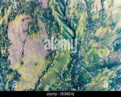 Blick von oben auf steile grüne Bergkämme, tiefe Schluchten und verstreute Bäume Stockfoto