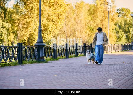 Ein junger Mann mit lockigen Haaren macht im Frühjahr einen schönen Spaziergang mit seinem australischen Schäferhund. Stockfoto