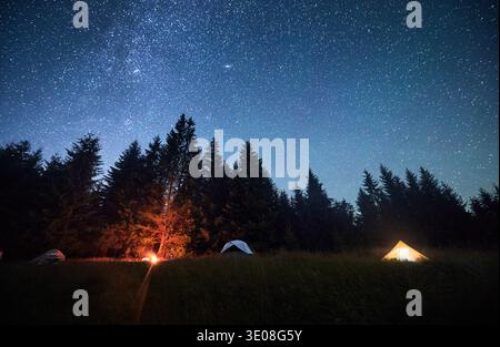 Mehrere Zelte, beleuchtet durch glühendes Lagerfeuer auf einer grasbewachsenen Rodung unter klarem Sternenhimmel. Umgeben von hohen Kiefern in den Bergen. Die ruhige Schönheit der Nacht, die Sie in der Natur verbracht haben. Stockfoto