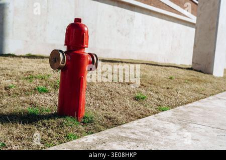 Der Hydrant steht tagsüber neben Gras auf einem Bürgersteig in einer Stadt Stockfoto