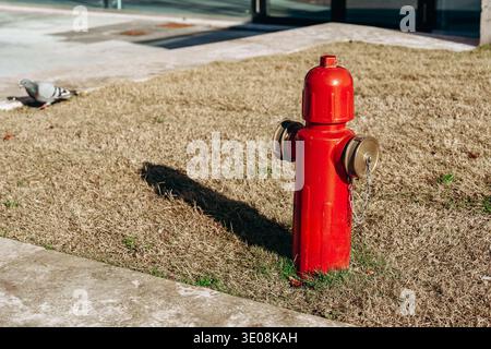 Der Hydrant steht tagsüber auf trockenem Gras in der Nähe eines Bürgersteigs in einer städtischen Umgebung Stockfoto
