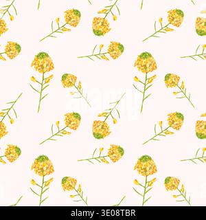 Nahtloses Aquarellmuster mit gelbem Senf oder Rapsblüten auf weiß. Zarte Zweige mit winzigen Blüten angeordnet. Perfekt für die Küche Stockfoto