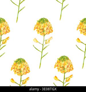 Nahtloses Aquarellmuster mit gelbem Senf oder Rapsblüten auf weiß. Zarte Zweige mit winzigen Blüten angeordnet. Perfekt für die Küche Stockfoto