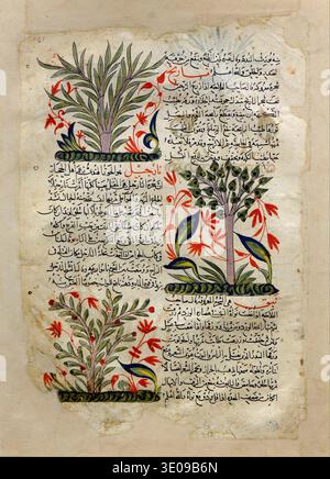 Eine exquisite Seite aus einer antiken arabischen Handschrift, wahrscheinlich aus dem 13. Bis 15. Jahrhundert, mit detaillierten botanischen Illustrationen von Bäumen mit grünen Blättern, roten Blumen und blauen Akzenten. Dieses Kunstwerk kombiniert komplizierte Kalligraphie mit zarten handgemalten Motiven und spiegelt die reichen künstlerischen Traditionen des islamischen Goldenen Zeitalters wider, die oft mit Regionen wie Syrien assoziiert werden. Stockfoto