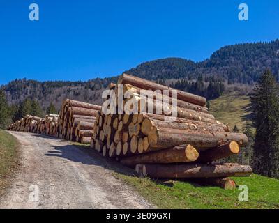 Holzhaufen am Hündle bei Oberstaufen im Allgäu Stockfoto