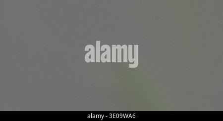 Eine graue obere Hälfte mit dezentem grünem Farbverlauf und weiße untere Hälfte, Textur sichtbar, keine sichtbaren Objekte Stockfoto