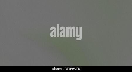 Dieses Bild hat einen grauen Hintergrund mit einer strukturierten Oberfläche und einen subtilen Verlaufseffekt, der von einem helleren Grau in einen tieferen Grauton übergeht. Stockfoto