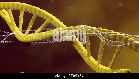 Zeigt perlenbesetzte gelbe DNA-Doppelspiralverdrehung in naher mikroskopischer Ansicht, mit gepunktetem Band Stockfoto