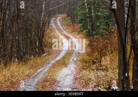 Im Herbst (Herbst) windet sich die Straße durch ein bewaldetes Gebiet von Roxbury, Vermont, USA. Stockfoto
