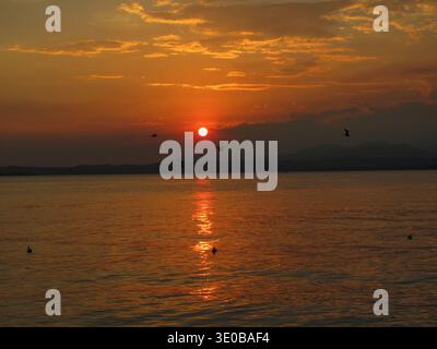 Ein warmer goldener Sonnenuntergang über ruhigem Wasser mit sanften Reflexen und entfernten Bergsilhouetten. Sanfte Vögel im Flug sorgen für ein natürliches Bewegungsgefühl. Stockfoto