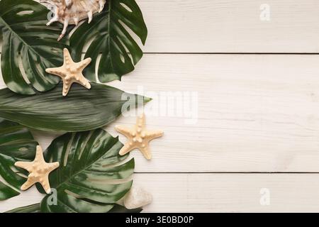 Große Blätter auf weißem Hintergrund, Draufsicht Stockfoto
