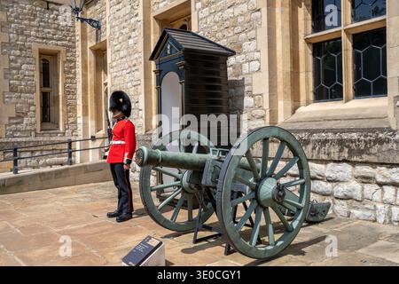 London England – 28. Mai 2023: Royal Guard steht bei einem Kanon im Tower of London United Kingdom Stockfoto