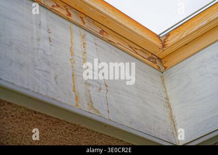 Holzdecke mit sichtbaren Wasserschäden und Schimmelflecken in der Nähe eines Dachfensters, die Anzeichen von Feuchtigkeit und Verfall in der Ecke des Zimmers zeigen. Stockfoto