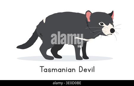 Tasmanischer Teufel Vektor Illustration, Cartoon Clipart Charakter, Tier im flachen Stil. Wilde Tiere, wilde Lebewesen, Tierkonzept Stock Vektor