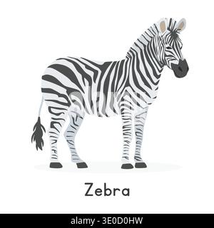 Zebra Vektor Illustration, Zeichentrick Clipart Charakter, Tier in flacher Art. Wilde Tiere, wilde Lebewesen, Tierkonzept. Gestreifter Pferdezebravektor Stock Vektor