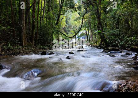 Der Fluss fließt über Felsen durch einen tropischen Wald und führt zu einem Wasserfall Stockfoto