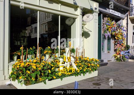 Echte Blumendekorationen in Papouelli und anderen Geschäften in Elizabeth Street für Chelsea Flower Show und Belgravia in Bloom 2025, London, England, Großbritannien Stockfoto