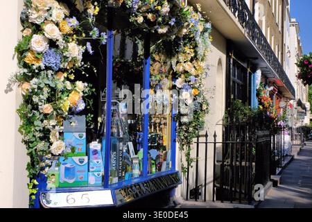 Echte Blumendekorationen in Walden Chymist und anderen Geschäften in Elizabeth Street für Chelsea Flower Show und Belgravia in Bloom 2025, London, England, Großbritannien Stockfoto