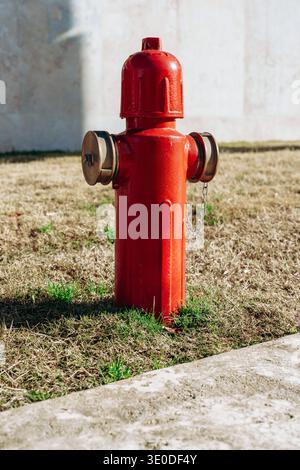 Der Hydrant steht tagsüber auf Gras in der Nähe von Betonflächen in städtischen Gebieten Stockfoto