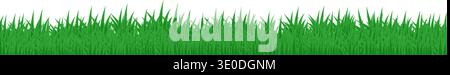 Grüne Grasrandvektorillustration isoliert auf weißem Hintergrund. Stock Vektor
