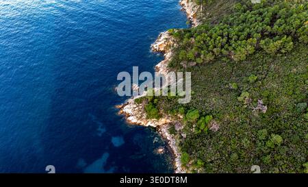 Von oben nach unten auf die felsige Küste von Platanitsi auf der Halbinsel Sithonia in Chalkidiki, Griechenland. Dichter mediterraner Wald trifft auf Crys Stockfoto