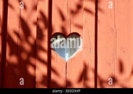 Herzförmiges Fenster in roter Holzwand mit Sonnenlicht und Schatten. Nahaufnahme eines herzförmigen Fensters, das in eine rote Holzwand mit Sonnenlicht und Pflanze geschnitten ist Stockfoto