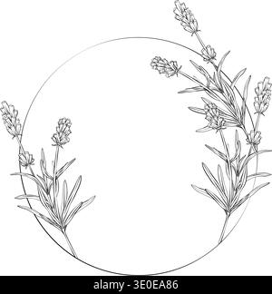 Schwarz-weiße Strichgrafik-Illustration von Lavendelzweigen, die einen runden Rahmen bilden. Detaillierte Umrisszeichnung in elegantem Vektorstil für natürliches Stock Vektor