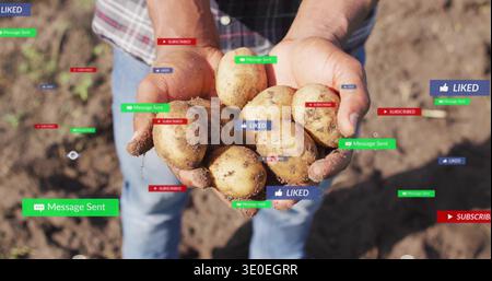 Afroamerikanischer Mann, der Kartoffeln auf dem Feld in kariertem Hemd und blauer Jeans mit Sozialabzeichen hält Stockfoto